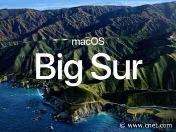 Apple typo calls new MacOS Big Sur 'Bug Sur' instead     - CNET