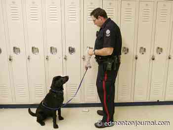 Edmonton Public Schools trustee to request review of school resource officer program - Edmonton Journal