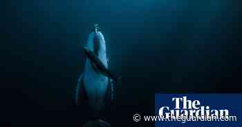 Otherworldly, life-giving: award-winning photos on the theme of 'water'