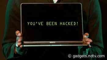 Delhi Crime, Mardaani 2 Amongst Top Entertainment Titles in India Targeted by Cybercriminals: McAfee