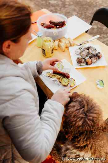 Vet advises York pet owners not to feed animals BBQ scraps