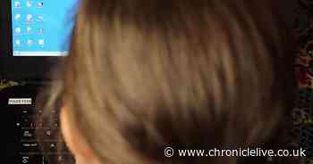 'Virtual school' to stay open for a year in case of further lockdowns