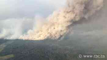 Report suggests creating permanent wildfire evacuation centre in the north