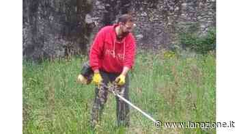 Sfalci d’erba in tutte le frazioni e disinfestazioni per le zanzare - LA NAZIONE