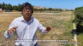 Con l'auto sopra l'erba del nuovo parco, la furia del sindaco di Sant'Antioco - YouTG.net
