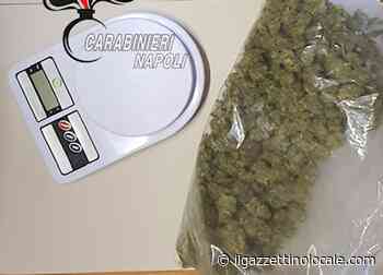 Blitz anticrimine dei carabinieri, sequestrato mezzo chilo di ‘erba’ - Il Gazzettino Locale