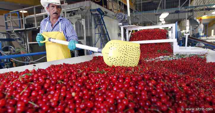 Commentary: Supporting local food producers critical to Utah economy