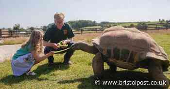 Zoo reopens after 88 days of lockdown