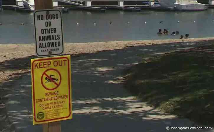 Sewage Spill Closes Huntington Harbour To Surfers, Swimmers