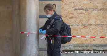 Teen accused of damaging Bristol museum and attacking man