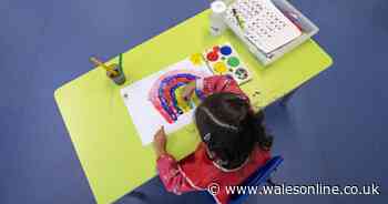 Top doctors stark warning about schools to Welsh Government