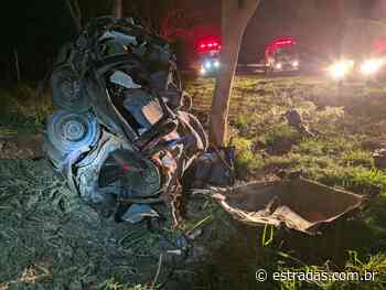 Mulher morre depois de chocar em árvore a SP-304, em Ibitinga (SP) - Estradas