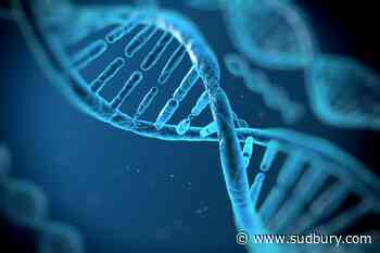 Discover: So you want to have your DNA sequenced ....