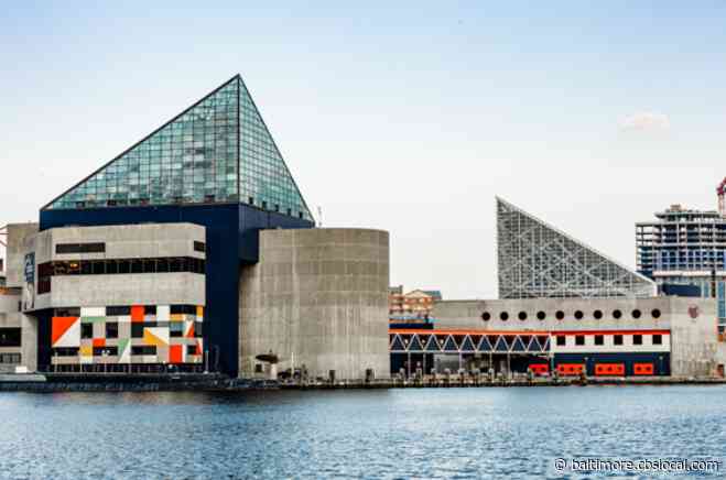 Reopening Maryland: National Aquarium To Reopen July 1