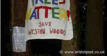 This is why banners have appeared at an ancient woodland