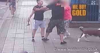 This is the moment a couple attacked a man with a hammer after their dog bit him