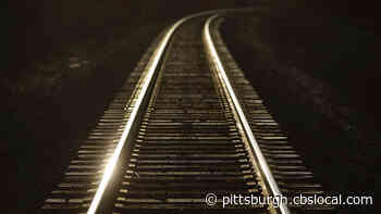 Person Struck By Train In Homestead