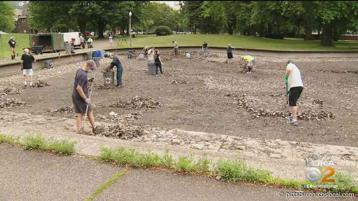 It Would Smell Really Bad’: Volunteers Work To Cleanup Lake Elizabeth In Allegheny Commons