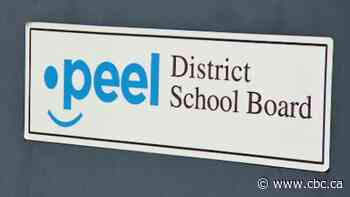 Ontario fires Peel school board's director of education in bid to confront systemic racism