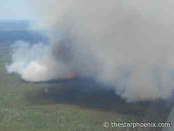 Keep families together during wildfire evacuations, report says