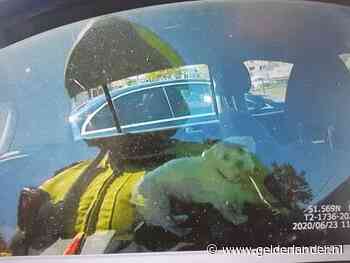 Hondje door politie uit hete auto bevrijd in Tilburg