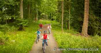 The National Trust sites which have reopened - and how to book your visit