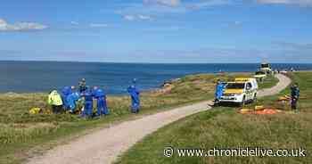 Man who suffered head injury taken to hospital after falling from cliffs