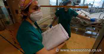 Health board boss suggests Welsh Government coronavirus advice may need changes