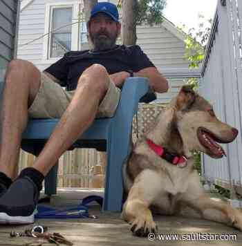 Rescue dog saves owner's life