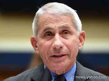 Fauci says racism is fueling the coronavirus 'double whammy' killing Black Americans at high rates