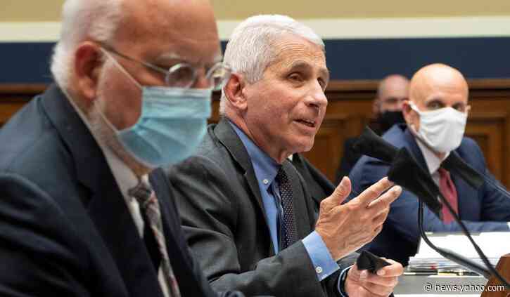 Fauci ‘Cautiously Optimistic’ Coronavirus Vaccine Will Be Available to Public by 2021