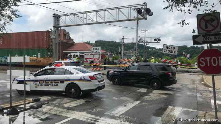 65-Year-Old Woman Hit, Killed By Train In Homestead