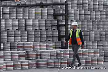 Guinness fertilises Christmas trees as lockdown black stuff recycled - St Helens Star