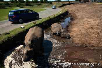 In Pictures: Cooling down as a heatwave looms - St Helens Star