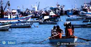 Pescadores no descartan movilizaciones si autoridades no decretan cuarentena para Coronel - BioBioChile