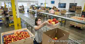 New data project a Great Depression-level surge in hunger by fall in Minnesota