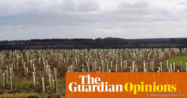 How did wildlife groups start collaborating in the destruction of nature? | George Monbiot