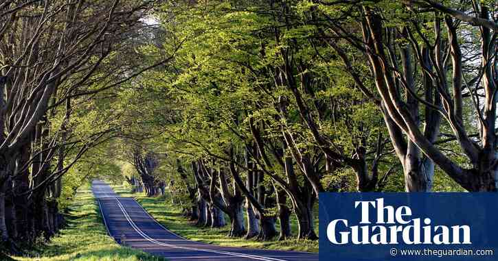 UK's net zero pledge: what has been achieved one year on?