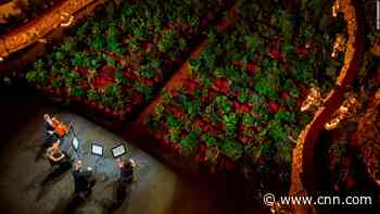 Barcelona opera reopens with concert for 2000+ plants