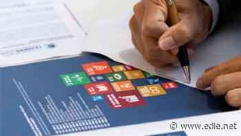 SDGs: Just 39% of businesses think they are taking enough action, UN survey finds