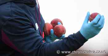 Why Boris Johnson had a point when he called cricket balls 'vectors of disease'