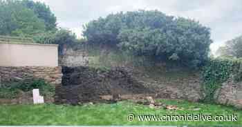 Scarlett Moffatt transforms garden of Durham home with epic results