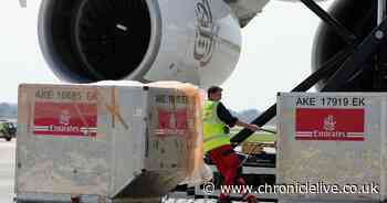 300 jobs at risk at Newcastle Airport as baggage handlers Swissport cuts staff