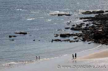People enjoy hot temperatures in the North East during predicted heatwave
