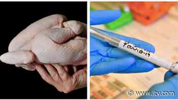 More than 300 coronavirus cases linked to food factories in Wales - ITV News