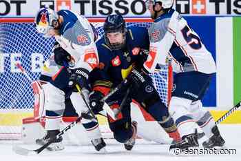 Ottawa Senators: Alexander Holtz would add scoring touch - SenShot