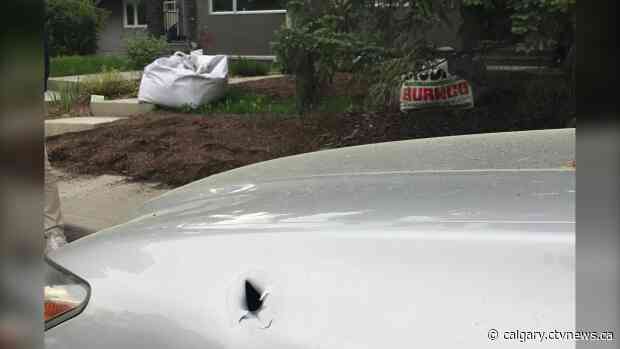 Bullets strike Altadore homes, vehicles in early morning shooting.