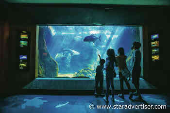 Medical workers and their families inaugurate Waikiki Aquarium's careful reopening - Honolulu Star-Advertiser
