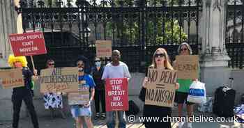 Protesters take 'no-deal' Brexit fight to Parliament over Nissan jobs fears