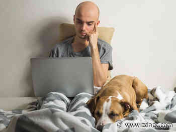 Software developers: We won't take a pay cut just to work remotely